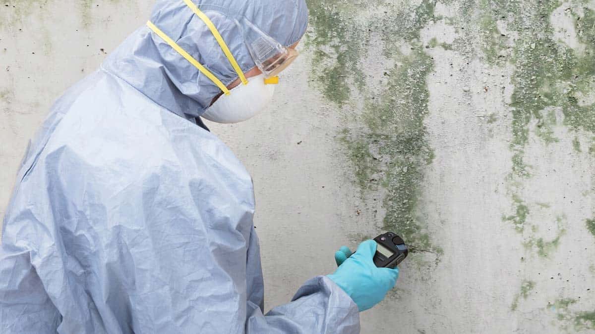 a mold inspector wearing protective gear and testing mold on the wall.