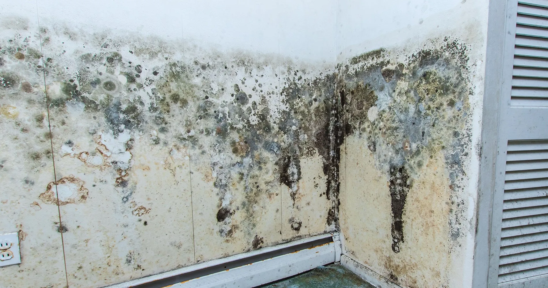 picture of wall heavily damaged by mold.