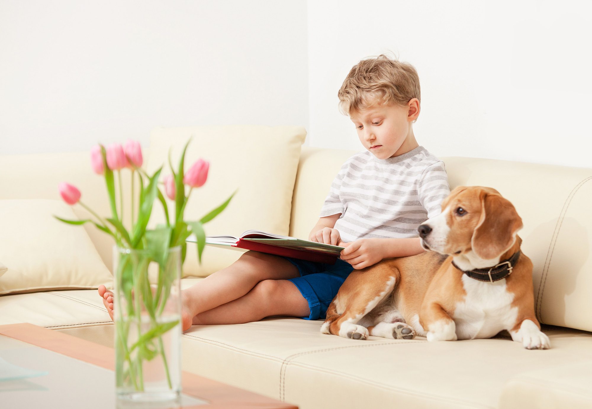 a dog and a kid sitting on the couch.