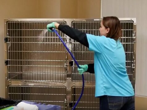 Kennel - cleaning cleaning veterinary kennels