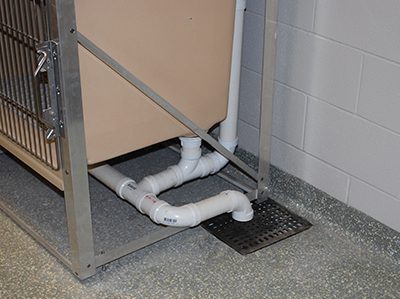 Kennel - drain treating drains in dog kennels