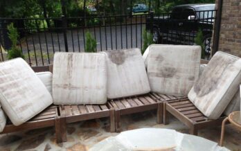 mold on lawn furniture