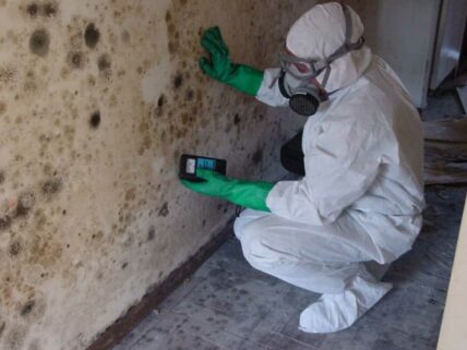 mold-inspector-testing-mold a mold inspector testing mold on the wall.